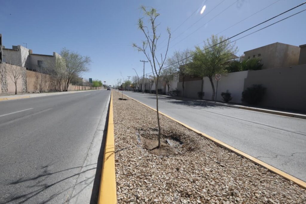 Cruz Pérez Cuellar 003